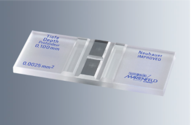 CAMARA NEUBAUER CON LINEA DOBLE, BRILLANTE  Paul Marienfeld